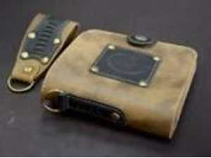 José Luis Ortega Gerica