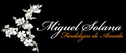 Fardelejos Miguel Solana