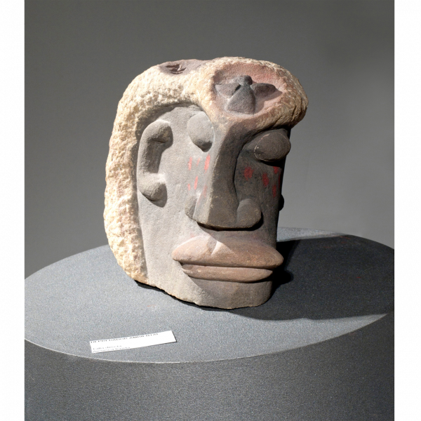 Depredador Ambiental