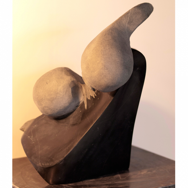 Fertilidad Fertilidad